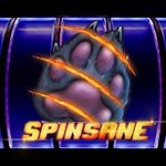 Spinsane