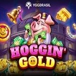 Hoggin` Gold